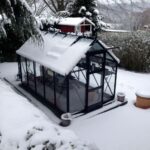 Elite Craftsman 6 x 10 Black Greenhouse In Snow