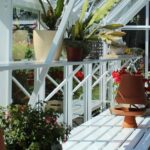 Robinsons Roedean Greenhouse Staging & Shelving