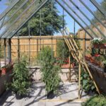 Ramsbury Victorian Dwarf Wall Greenhouse By Robinsons Inside