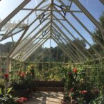 Ramsbury Victorian Greenhouse By Robinsons Inside