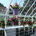 Robinsons Raynham Greenhouse Optional Staging And Shelving